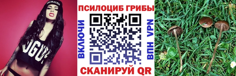 Псилоцибиновые грибы мухоморы  купить наркоту  Юрюзань 